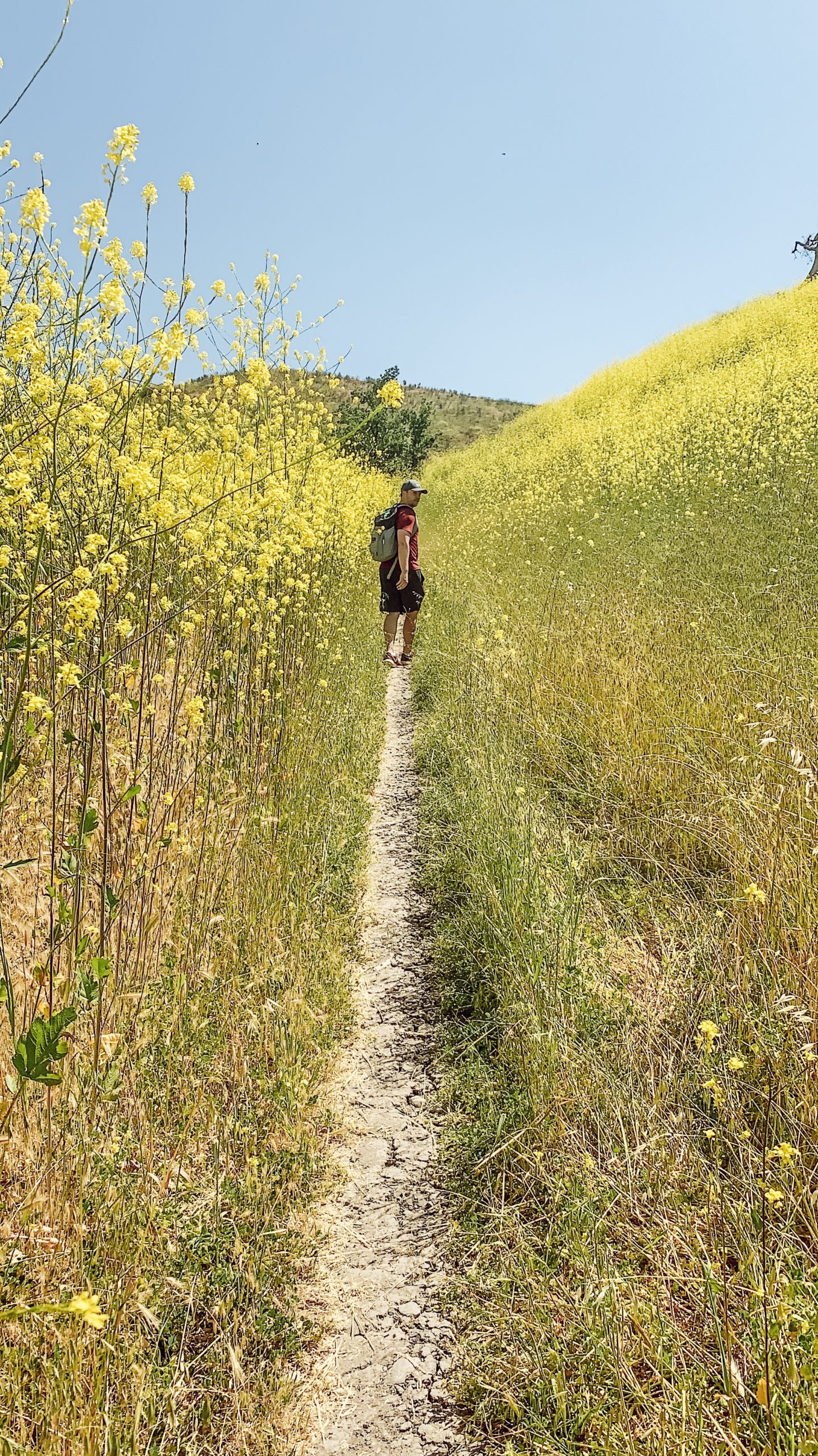 Alexis Alcala healthy lifestyle blogger talking about hiking in Los Angeles California