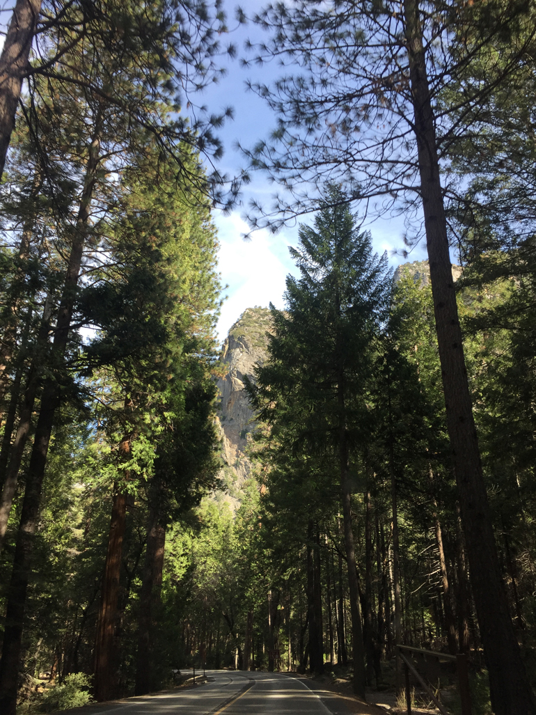Yosemite-201611